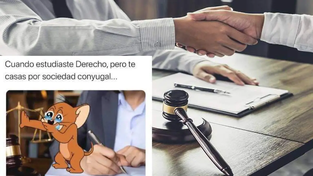 memes abogados